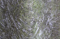 Bowden Hill fibreglass roof work